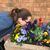 Cathy Riehl's profile image
