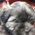 Joe Clark's profile image