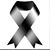 Lupa Ochoa's profile image