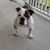 Lisa Dankert-Schmeltz's profile image