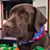 Nelle Manning Hyatt's profile image