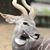 Eric Vettling's profile image