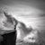 TraceyMarie Tardif Lockwood Graham's profile image