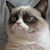 Todd Blumhorst's profile image