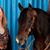 Sheryl Williams's profile image