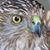 Lawrence Stec's profile image