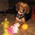 Mark Weidenbach's profile image