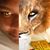 Jordan Chubb Claiborne's profile image
