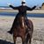 Kathy Fairbanks's profile image