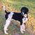 Loren Tilley Wilkinson's profile image