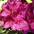 Barbara Nicholas's profile image