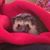 Patrick Anderson's profile image