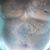 Edward Batts's profile image