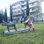 Paula Paulina Fernandes's profile image