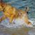 Bob Perotti's profile image