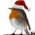 Robin-Ann Torr's profile image