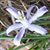 Jeff Quayle's profile image