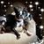 Connie Hanrahan's profile image