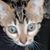 Jennifer Lemanis's profile image