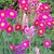 Kate Abbe's profile image