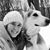 Jen Goodling's profile image