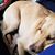 John Phillips's profile image