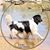 Sandra Land's profile image