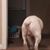 Kevin Wayne Gianvito's profile image