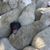 Paul Frysinger's profile image