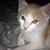 Joe DaToe's profile image