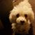 Christi LeAnn Stoll McLellan's profile image