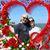 Kelli Roddy Huffman's profile image