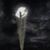 Gran Bufalo Blanco's profile image