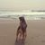 Kathryn Labrecque's profile image