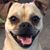 Mickey Buell's profile image