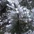 Debbi Carls's profile image
