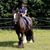 Linda Downes's profile image