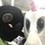 Lucy Lucero's profile image