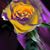 Barbara M Johnson-Grimm's profile image