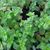 Rochelle Gandour-Rood's profile image