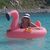 Cathy Anderson's profile image