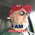 Douglas Holleman's profile image