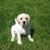 Susan Holden's profile image
