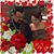 Julie Bartlett's profile image