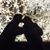 LeAnn L Pedersen's profile image