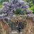 Irina Fiksler's profile image