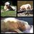 Barbara Ruth Pinelli's profile image