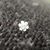 Linda De Coursey's profile image