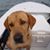 Amy Schroeder Karl's profile image