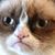 Eric Wittmann's profile image